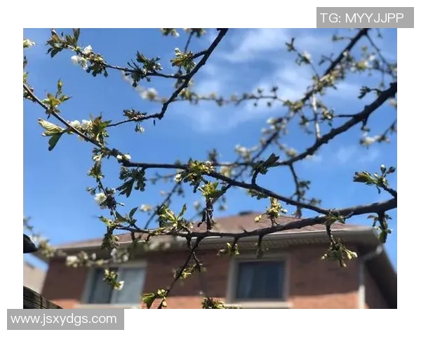 疫情期间足球明星的生活与公益活动全景探秘 疫情期间足球明星的生活与公益活动全景探秘