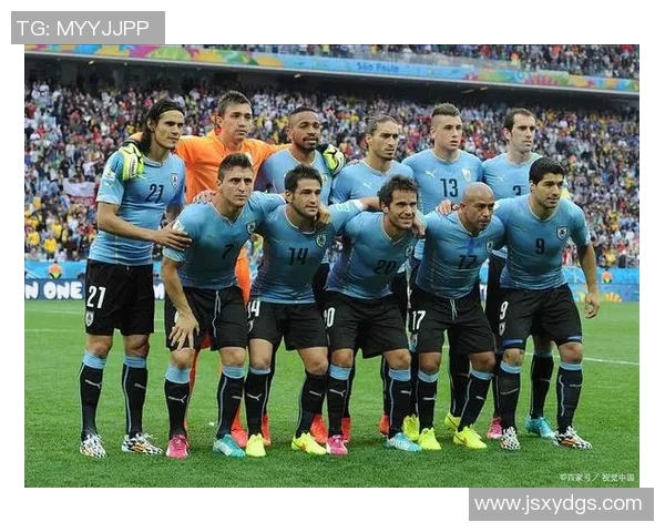 回顾2008年乌拉圭足球明星的辉煌成就与影响力 回顾2008年乌拉圭足球明星的辉煌成就与影响力