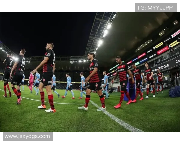 2019年西悉尼足球队对阵惠灵顿凤凰队精彩赛事回顾与分析 2019年西悉尼足球队对阵惠灵顿凤凰队精彩赛事回顾与分析