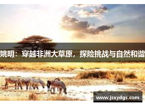 姚明：穿越非洲大草原，探险挑战与自然和谐