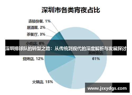 深圳排球队的转型之路：从传统到现代的深度解析与发展探讨