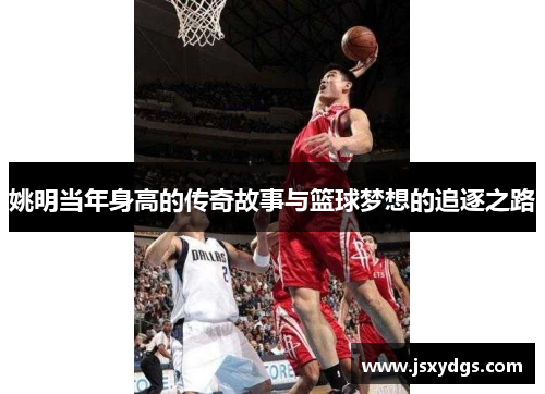 姚明当年身高的传奇故事与篮球梦想的追逐之路