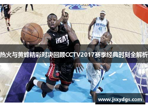 热火与黄蜂精彩对决回顾CCTV2017赛季经典时刻全解析
